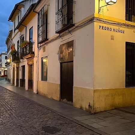 Апартаменты Patio De La Corredera Кордова Экстерьер фото