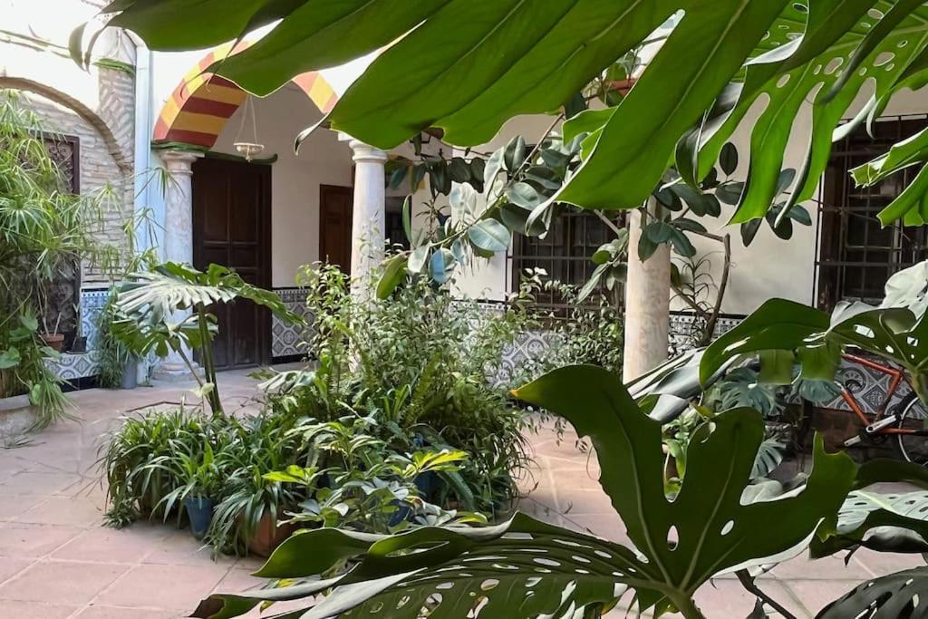 Апартаменты Patio De La Corredera Кордова Экстерьер фото